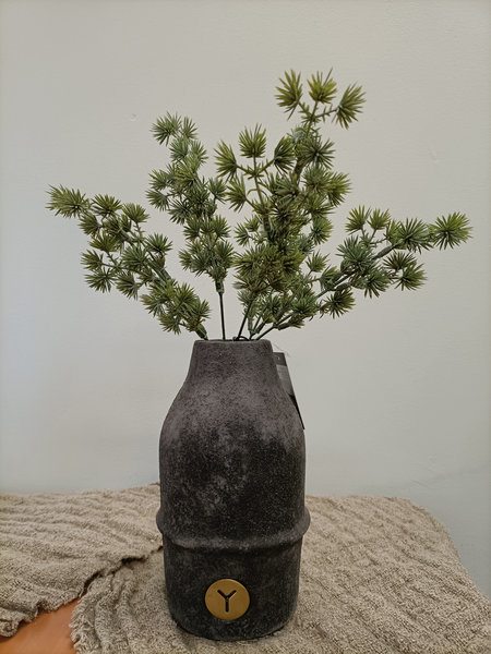 Cedar bos