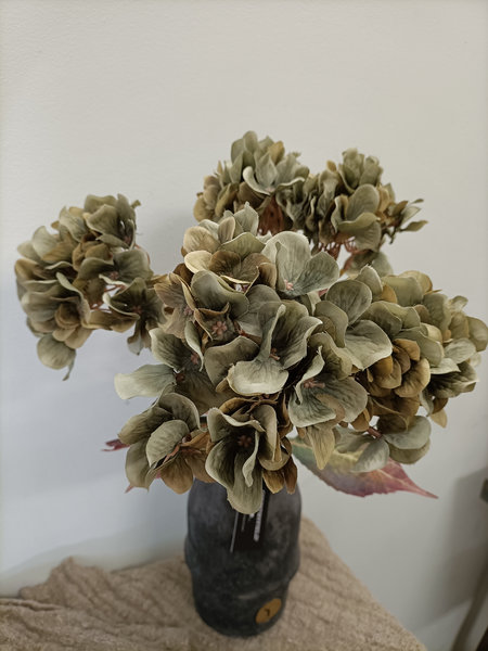 Hortensia bos olijfgroen