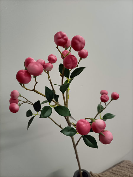 Rose sneeuw bes tak