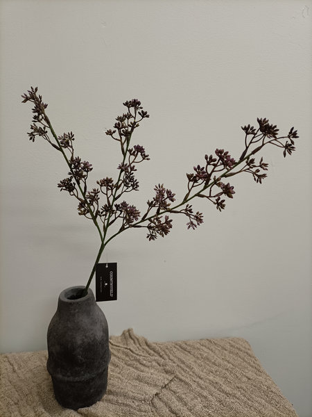 Prunus tak