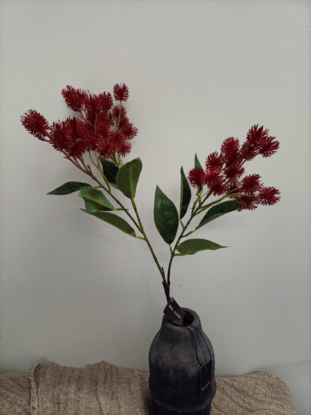 Mullberry rood