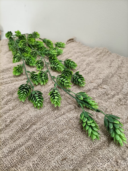 Hop