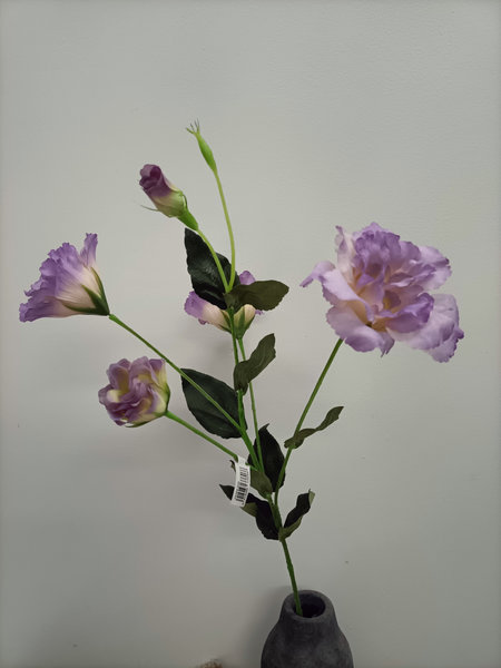 Lidianthus