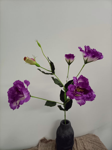 Lidianthus