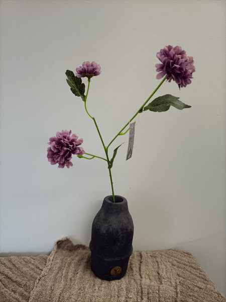 Chrysant
