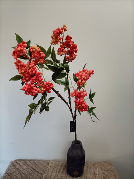 Hemelse bamboo