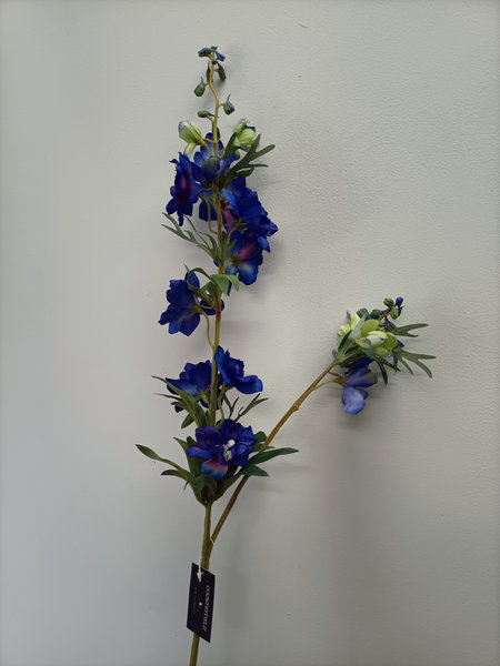Delphinium
