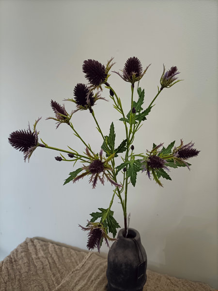 Distel