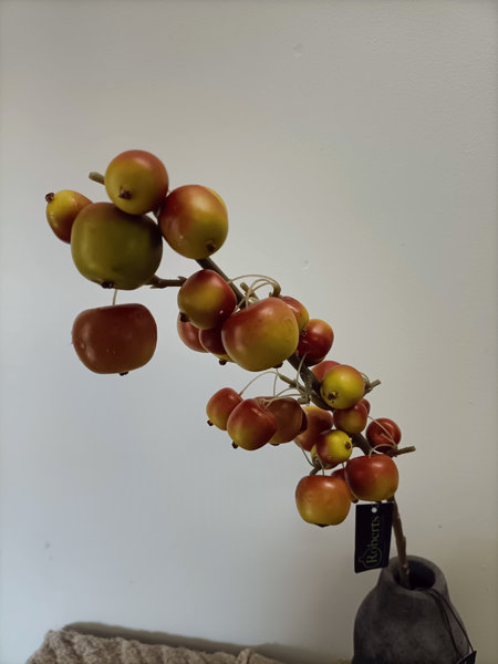 Appeltjes tak