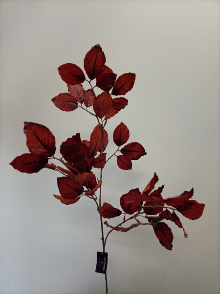 Herfst blad