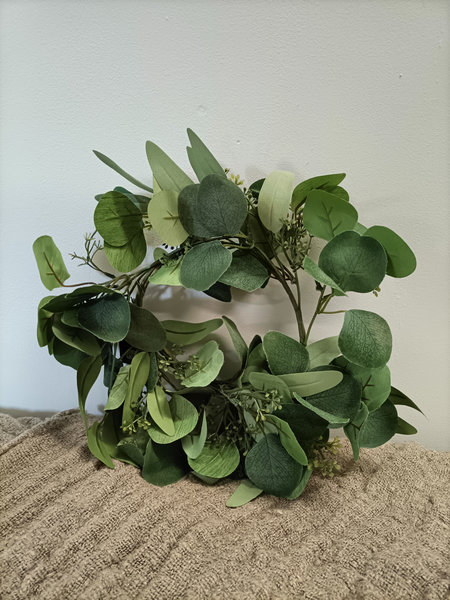 Eucalyptus krans