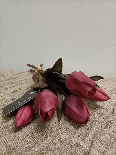 Tulpen