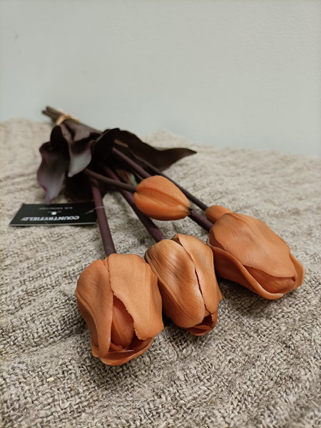 Tulpen