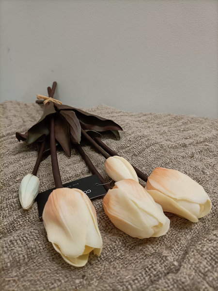 Tulpen