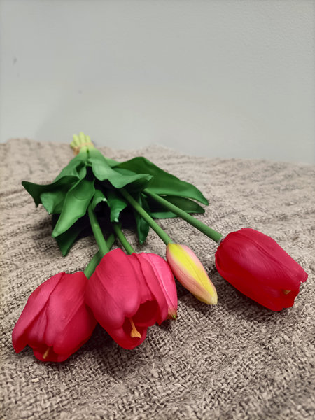 Tulpen