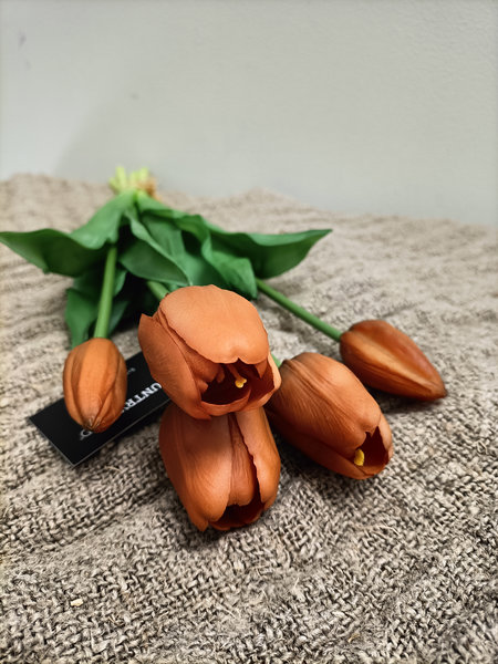 Tulpen