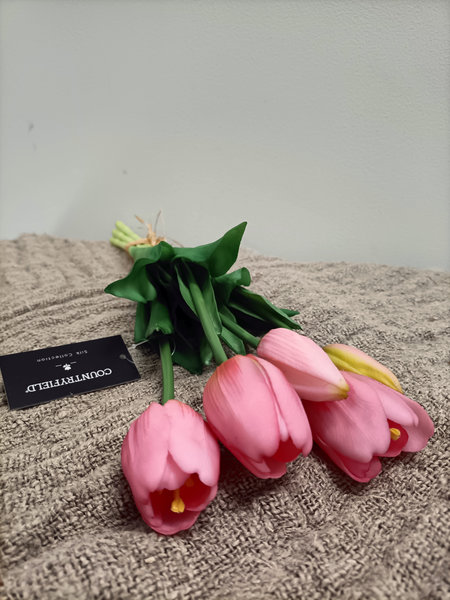 Tulpen