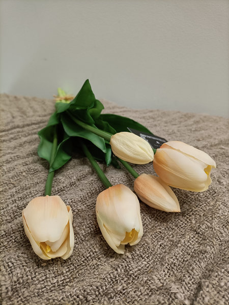 Tulpen