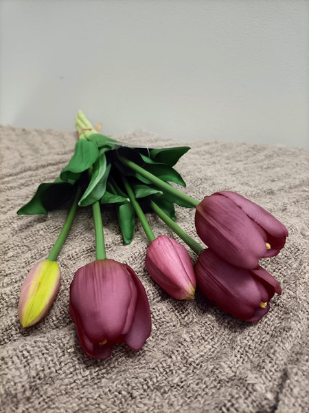 Tulpen