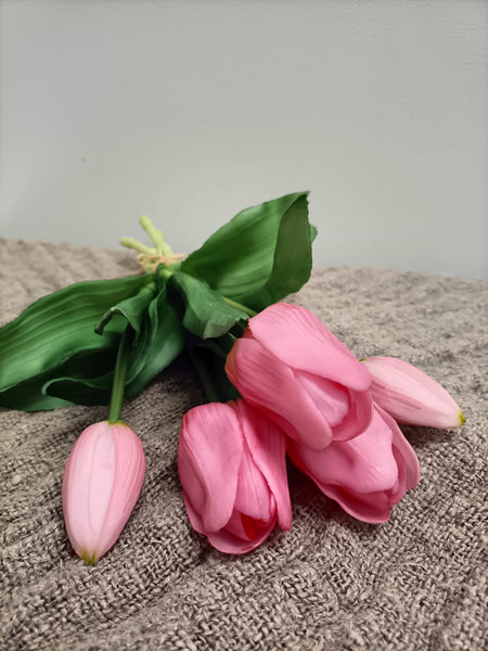 Tulpen
