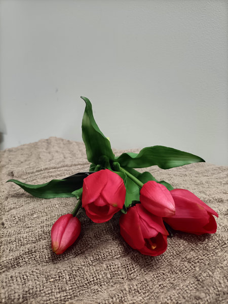 Tulpen