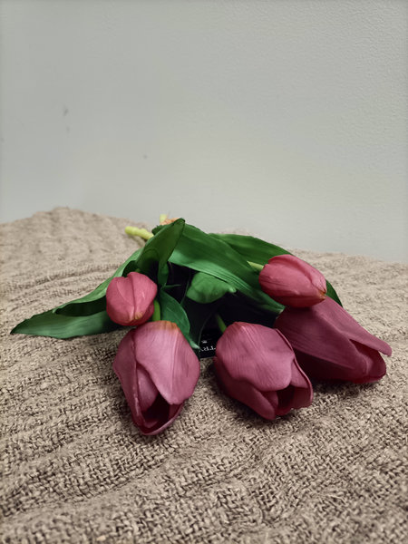 Tulpen