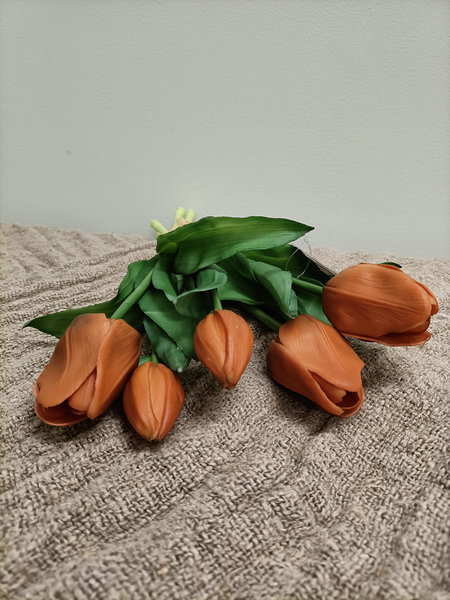 Tulpen