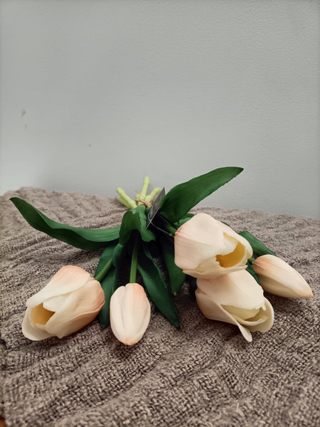 Tulpen