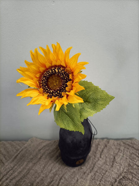 Zonnebloem