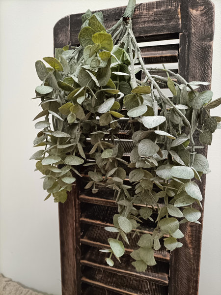 Eucalyptus hanger