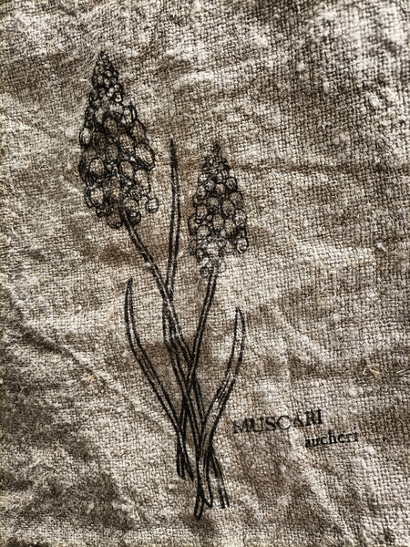 Shabby doek blauwe druif