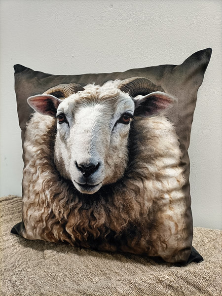 Kussen schaap